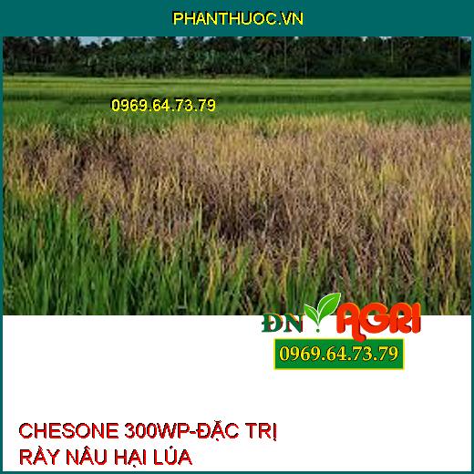 CHESONE 300WP-ĐẶC TRỊ RẦY NÂU HẠI LÚA