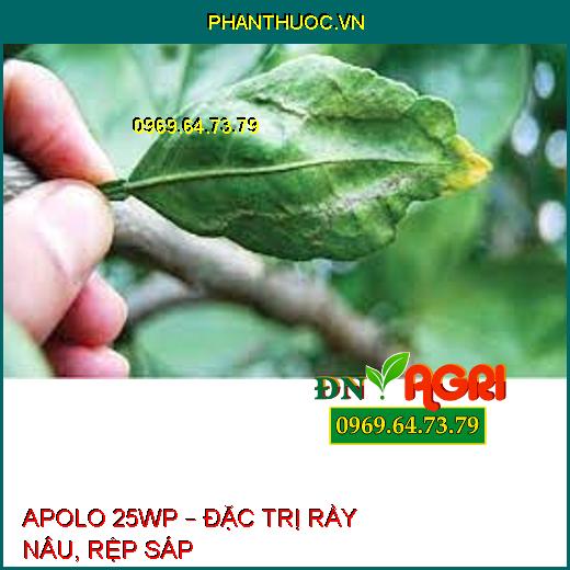 APOLO 25WP – ĐẶC TRỊ RẦY NÂU, RỆP SÁP