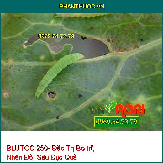 BLUTOC 250- Đặc Trị Bọ trĩ, Nhện Đỏ, Sâu Đục Quả