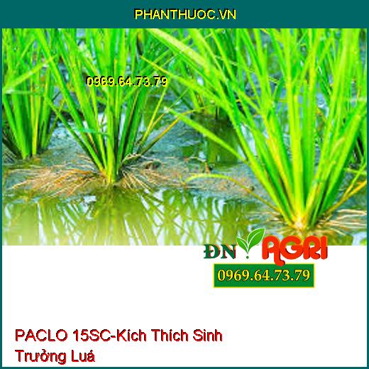 PACLO 15SC-Kích Thích Sinh Trưởng Luá