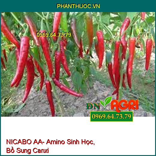 NICABO AA- Amino Sinh Học, Bổ Sung Canxi