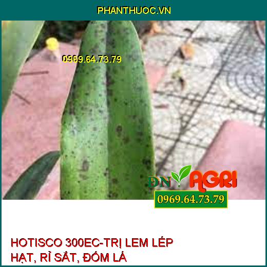 HOTISCO 300EC-TRỊ LEM LÉP HẠT, RỈ SẮT, ĐỐM LÁ