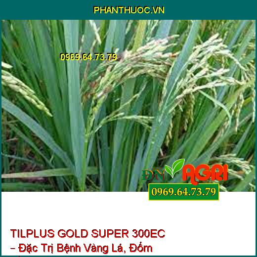 TILPLUS GOLD SUPER 300EC – Đặc Trị Bệnh Vàng Lá, Đốm Vằn