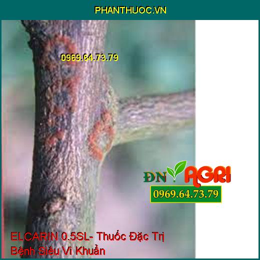 ELCARIN 0.5SL- Thuốc Đặc Trị Bệnh Siêu Vi Khuẩn