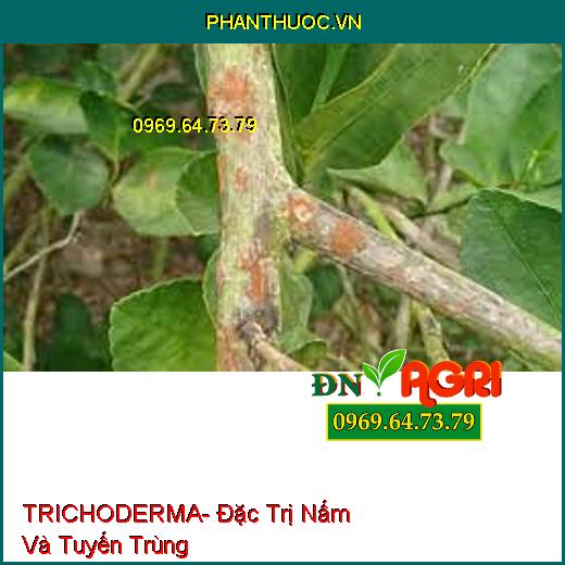 TRICHODERMA- Đặc Trị Nấm Và Tuyến Trùng