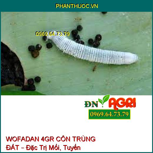 WOFADAN 4GR CÔN TRÙNG ĐẤT – Đặc Trị Mối, Tuyến Trùng, Rệp