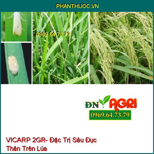 VICARP 2GR- Đặc Trị Sâu Đục Thân Trên Lúa