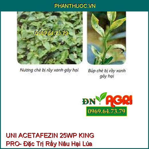 UNI ACETAFEZIN 25WP KING PRO- Đặc Trị Rầy Nâu Hại Lúa