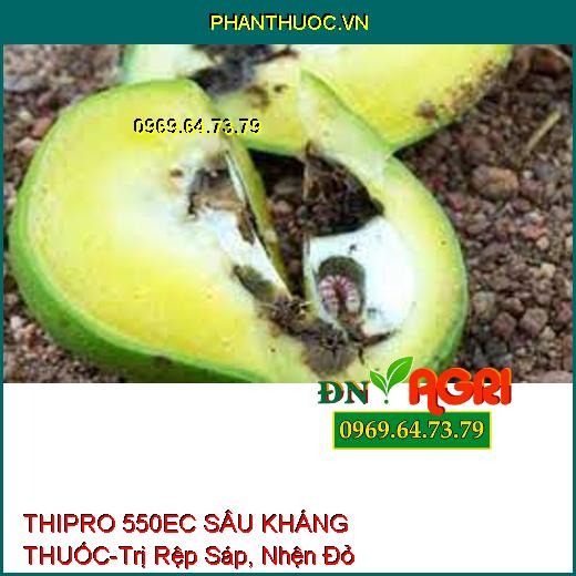 THIPRO 550EC SÂU KHÁNG THUỐC-Trị Rệp Sáp, Nhện Đỏ