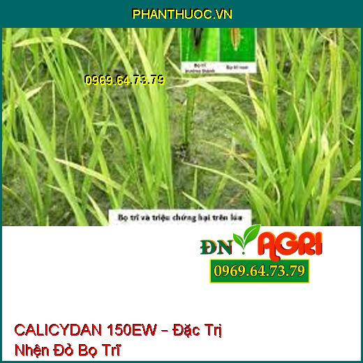 CALICYDAN 150EW – Đặc Trị Nhện Đỏ Bọ Trĩ