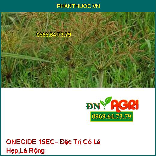 ONECIDE 15EC– Đặc Trị Cỏ Lá Hẹp,Lá Rộng