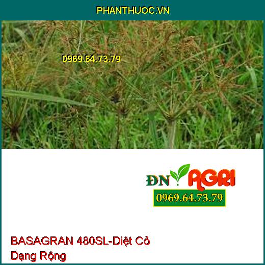 BASAGRAN 480SL-Diệt Cỏ Dạng Rộng