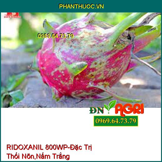 RIDOXANIL 800WP-Đặc Trị Thối Nõn,Nấm Trắng