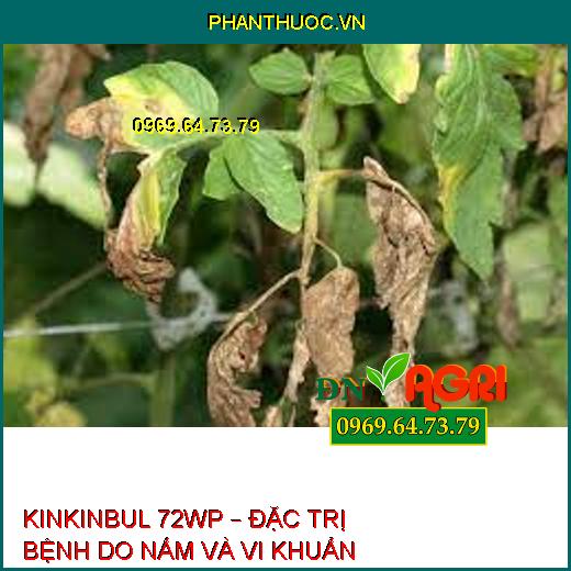 KINKINBUL 72WP – ĐẶC TRỊ BỆNH DO NẤM VÀ VI KHUẨN