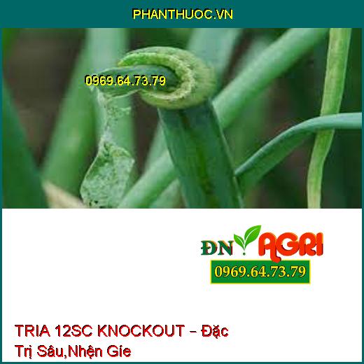 TRIA 12SC KNOCKOUT – Đặc Trị Sâu,Nhện Gíe