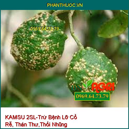 KAMSU 2SL-Trừ Bệnh Lỡ Cổ Rễ, Thán Thư,Thối Nhũng