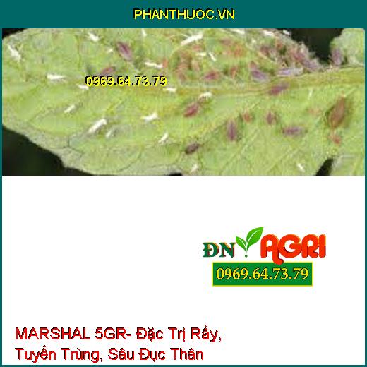 MARSHAL 5GR- Đặc Trị Rầy, Tuyến Trùng, Sâu Đục Thân