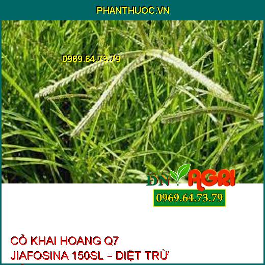 CỎ KHAI HOANG Q7 JIAFOSINA 150SL – DIỆT TRỪ CỎ