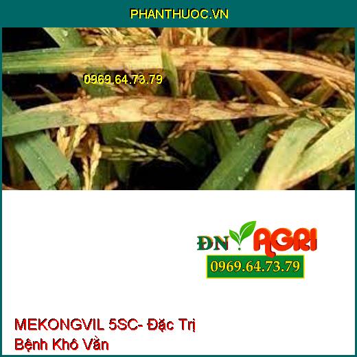 MEKONGVIL 5SC- Đặc Trị Bệnh Khô Vằn