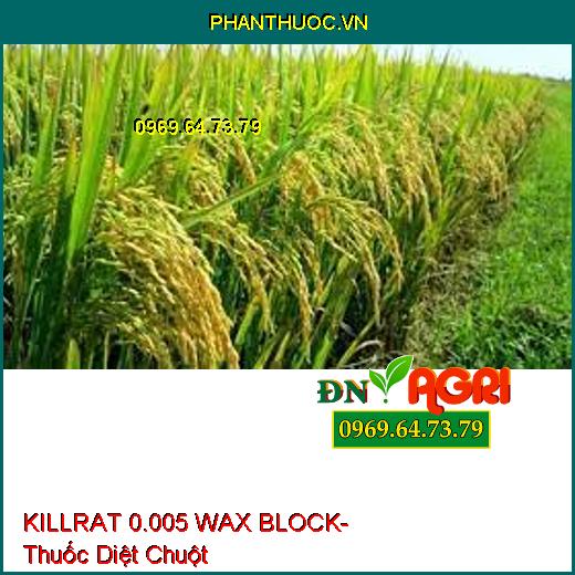 KILLRAT 0.005 WAX BLOCK- Thuốc Diệt Chuột