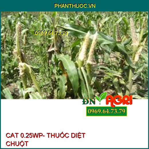 CAT 0.25WP- THUỐC DIỆT CHUỘT