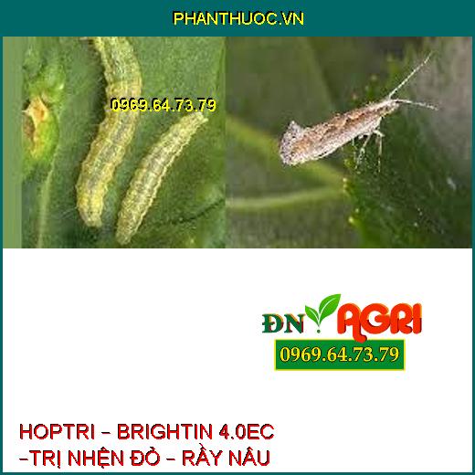 HOPTRI – BRIGHTIN 4.0EC –TRỊ NHỆN ĐỎ – RẦY NÂU