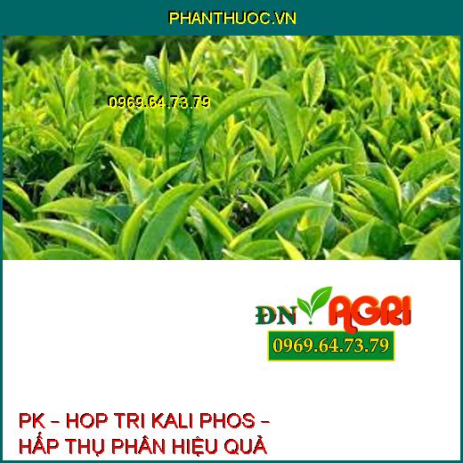 PK – HOP TRI KALI PHOS – HẤP THỤ PHÂN HIỆU QUẢ