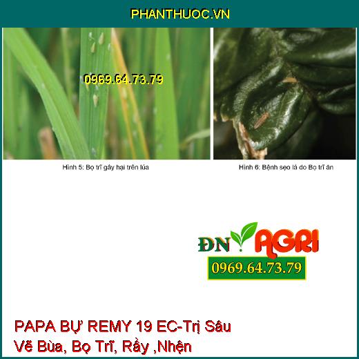 PAPA BỰ REMY 19 EC-Trị Sâu Vẽ Bùa, Bọ Trĩ, Rầy ,Nhện