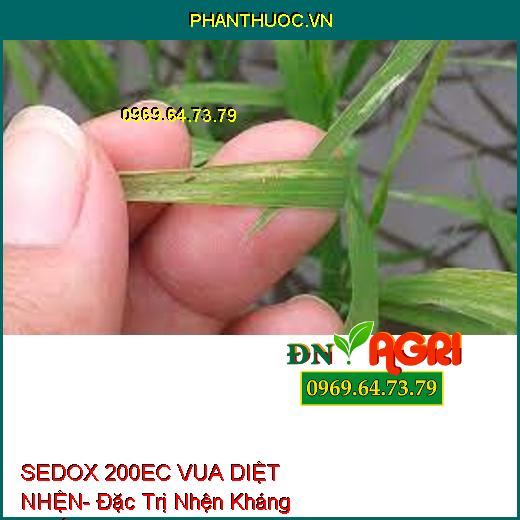 (SEDOX 200EC VUA DIỆT NHỆN- Đặc Trị Nhện Kháng Thuốc