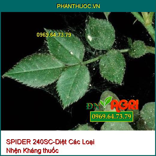 SPIDER 240SC-Diệt Các Loại Nhện Kháng thuốc