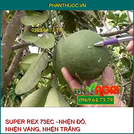 SUPER REX 73EC –NHỆN ĐỎ, NHỆN VÀNG, NHỆN TRẮNG