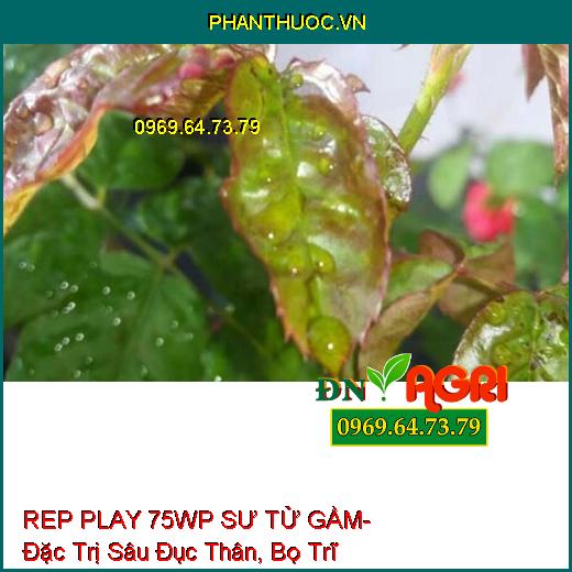 REP PLAY 75WP SƯ TỬ GẦM- Đặc Trị Sâu Đục Thân, Bọ Trĩ