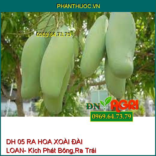 DH 05 RA HOA XOÀI ĐÀI LOAN- Kích Phát Bông,Ra Trái