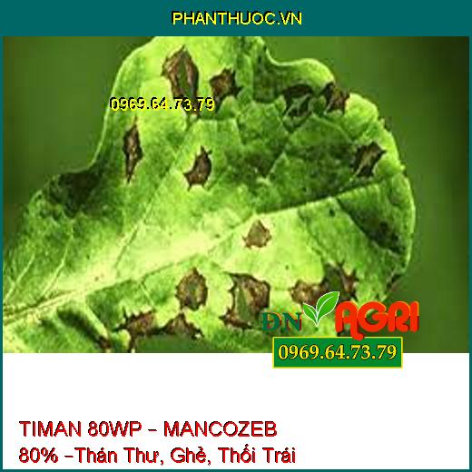 TIMAN 80WP – MANCOZEB 80% –Thán Thư, Ghẻ, Thối Trái