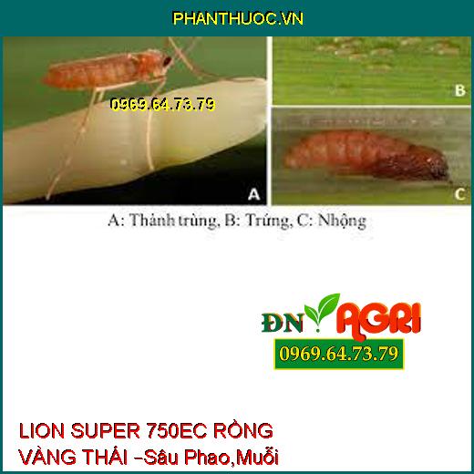 LION SUPER 750EC RỒNG VÀNG THÁI –Sâu Phao,Muỗi Hành