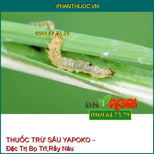 THUỐC TRỪ SÂU YAPOKO – Đặc Trị Bọ Trĩ,Rầy Nâu