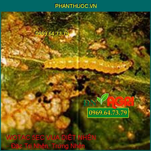 WOTAC 5EC VUA DIỆT NHỆN – Đặc Trị Nhện, Trứng Nhện