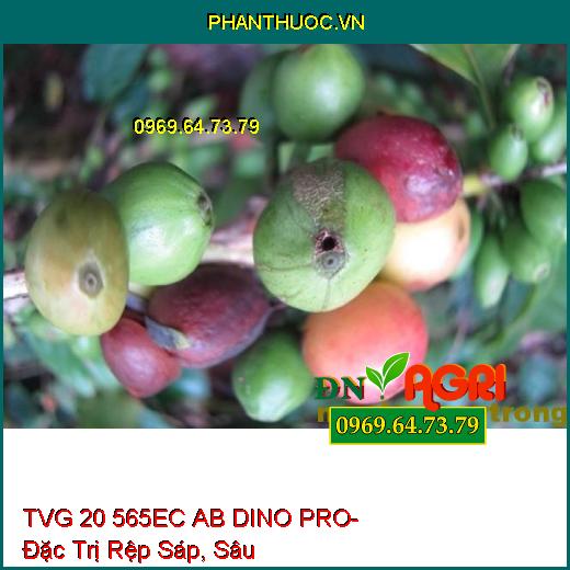 TVG 20 565EC AB DINO PRO- Đặc Trị Rệp Sáp, Sâu