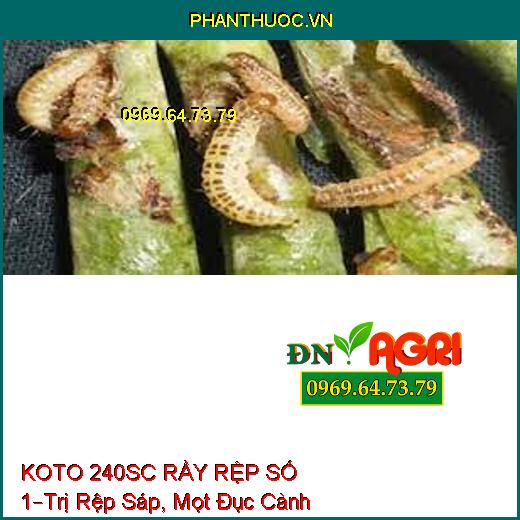 KOTO 240SC RẦY RỆP SỐ 1–Trị Rệp Sáp, Mọt Đục Cành