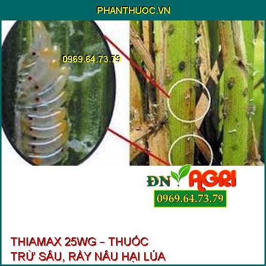 THIAMAX 25WG – THUỐC TRỪ SÂU, RẦY NÂU HẠI LÚA