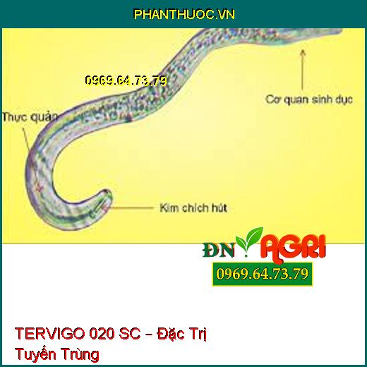 TERVIGO 020 SC – Đặc Trị Tuyến Trùng