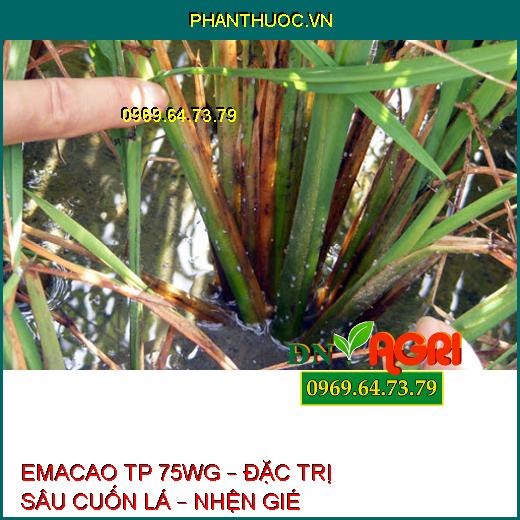 EMACAO TP 75WG – ĐẶC TRỊ SÂU CUỐN LÁ – NHỆN GIÉ