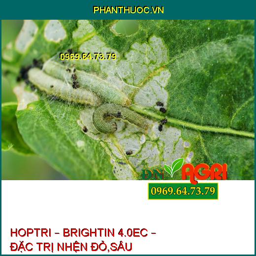 HOPTRI – BRIGHTIN 4.0EC – ĐẶC TRỊ NHỆN ĐỎ,SÂU