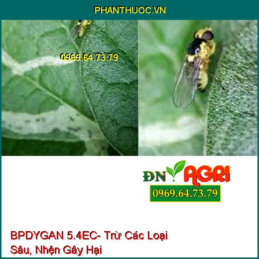 BPDYGAN 5.4EC- Trừ Các Loại Sâu, Nhện Gây Hại