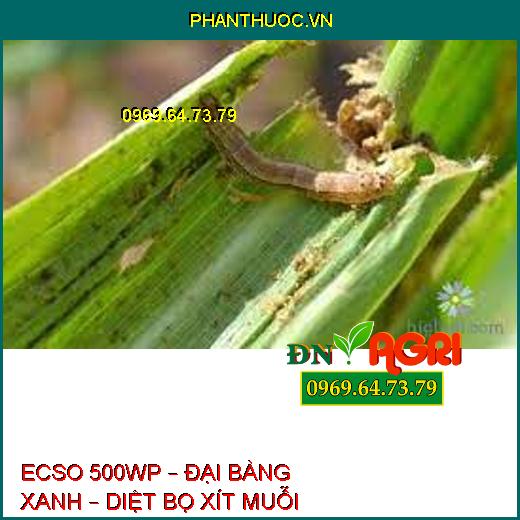 ECSO 500WP – ĐẠI BÀNG XANH – DIỆT BỌ XÍT MUỖI