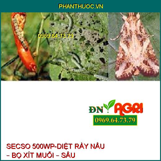 SECSO 500WP-DIỆT RẦY NÂU – BỌ XÍT MUỖI – SÂU KHOANG