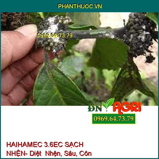 HAIHAMEC 3.6EC SẠCH NHỆN- Diệt Nhện, Sâu, Côn Trùng