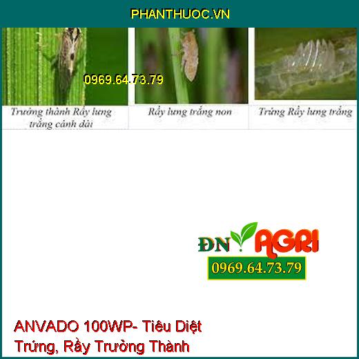 ANVADO 100WP- Tiêu Diệt Trứng, Rầy Trưởng Thành