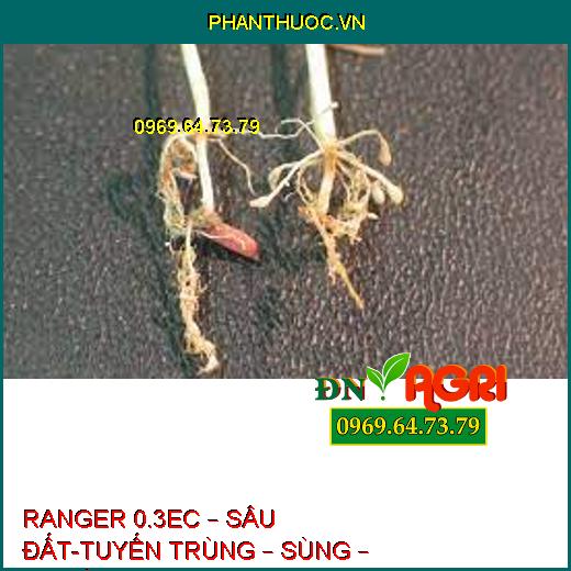 RANGER 0.3EC – SÂU ĐẤT-TUYẾN TRÙNG – SÙNG – BỌ HÀ