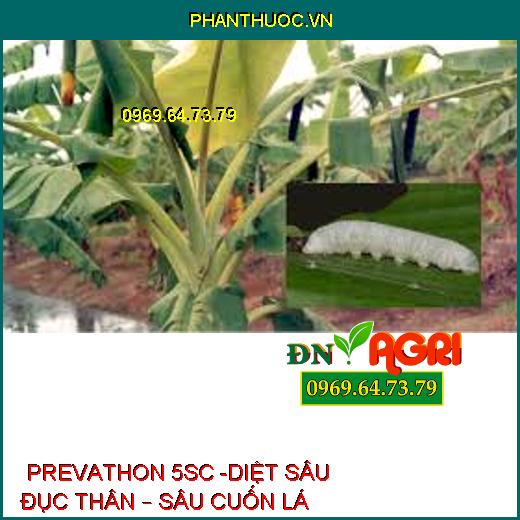  PREVATHON 5SC -DIỆT SÂU ĐỤC THÂN – SÂU CUỐN 